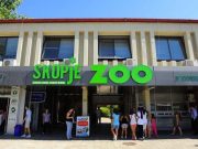 Зоолошката градина во Скопје од денеска повторно отвoрена за посетители