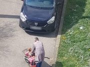 Оваа фотографија го расплака Балканот: Сосед секој ден вози болно куче на ливадата во количка, причината ќе ви го скрши срцето