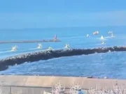 Регистрирани првите жртви од разорниот земјотрес во Јапонија: Започна цунами, граѓаните добија итно предупредување – Се заканува ли нова нуклеарна катастрофа? (ВИДЕО)