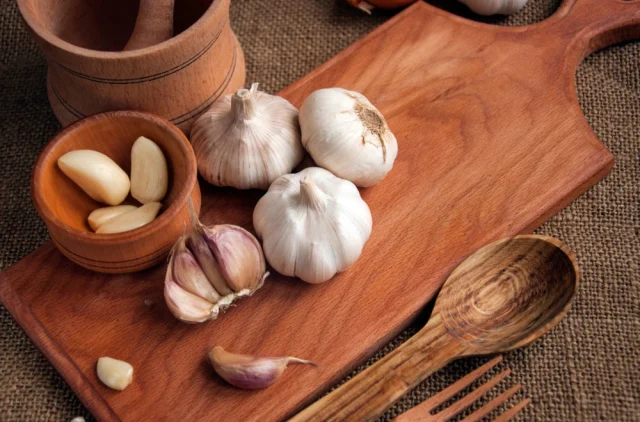 6931_shutterstock-702093349_f.webp